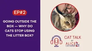 Cat Talk - Ep2: Going Outside the Box &mdash; Why Do Cats Stop Using the Litter Box?