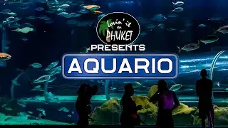 AquaRio, The Marine Aquarium Attraction in Rio de Janeiro Brazil