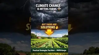 Practical Strategies for coping with Climate Change in Kenya's Agriculture