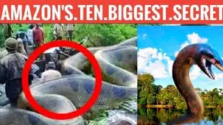 Amazon-மர்மங்கள்|Secrets Of Amazon|Fully Explained|Tamil|Pirana|Anagonda|JS Technology