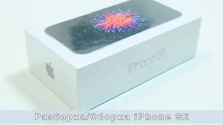iPhone SE disassembly | Разборка iPhone SE | iFix