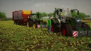 Corn silage | Extreme mud | Dutch Polder |
