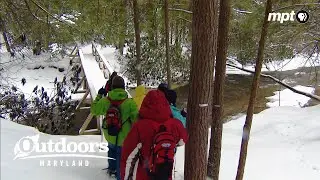 На снегоступах к самому высокому водопаду Мэриленда! | На природе в Мэриленде
