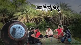 ಈಚಲ ಹೆಂಡ! ನೀರಾ! ಕಲ್ಲು toddy sweet palm🌴4k ultra HD #drink #viral #yt #trending
