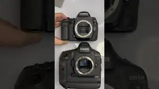 Canon 1Dx Mark II vs Canon 5D Mark IV #cuongtonnytv #cuongtonny #canon #canon5d4 #canon1dxmarkii