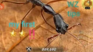 Double Star up Giant Tooth: Warzone tips: Ants Underground Kingdom