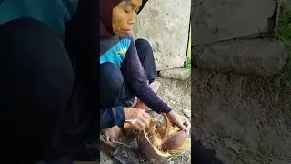 Macal Kelapa - Warga Kampung Baru di Warkop Cirebek,Ciomas,Kec.Bantarkawung,Brebes