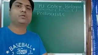 Pollination by wind and water by Vaibhav Baadkar