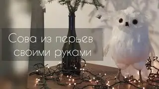 DIY Сова из перьев своими руками