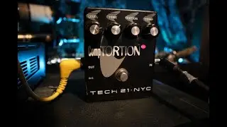 Tech 21 Comptortion review