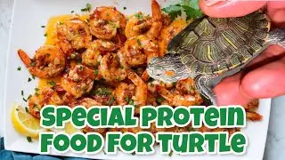 Best protein for my turtle |Healthy food for goldfish |shrimps for turtles#vlog #lifeofjitenanuvlogs