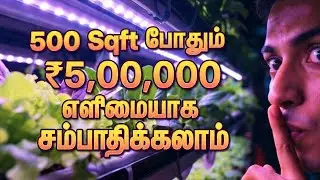 Vertical Farming Business! | Secret to Earning ₹5 Lakhs in 500 Sqft | Rooftop Business Tamil