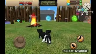 Cat Simulator Animal Life Gameplay