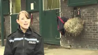 Interview with Avon and Somerset Mounted Police