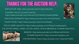AUCTION APPRECIATION AND THANKS from the White Chipmunks