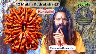 Kundalini Awakening -12 Mukhi Rudraksha Benefits & Secrets Part-2||12 मुखी रुद्राक्ष के फायदे ||Sun|