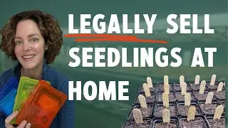 Before Your Profitable Seedling Sale, Watch THIS (Legal Requirements Explained)