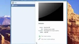 Vmware Tweaks to Improve Performance