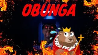 WHO IS OBUNGA