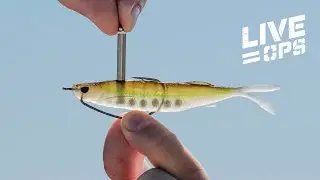 How to Change the Balls out - Live Ops Tungsten System