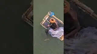 Fishing videos, Fishing in ocean, Big fish Fishing in ocean, Fishing freaks, fishing vlog #fish 441