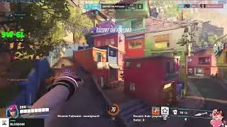 MEADXR PRO SUPPORT GAMEPLAY | PARAISO | OVERWATCH 2 SEASON 8 TOP 500