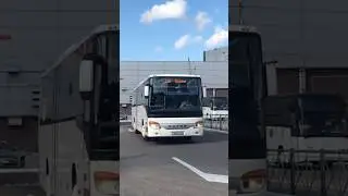 Buses Setra S415UL 2009 & Irisbus Crossway 12.8M 2008 in Kaliningrad