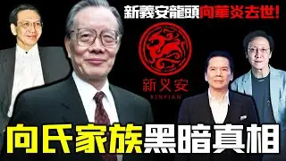 一場葬禮，揭開被塵封半個世紀嘅新義安！龍頭向華炎悄然離世，向氏家族最唔願被人見到嘅一面浮出水面！由96年前碼頭苦力，到香港最大黑幫話事人，呢段發家史遠比傳聞更黑暗！【姊姊有嘢講】
