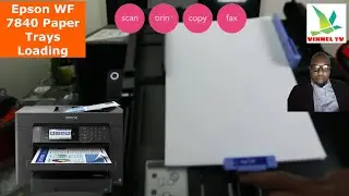 How to Load Paper Trays on Epson WF 7840 / WF7820 WIFI Printer and Print Printer Status Report