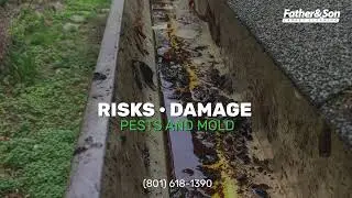Professional Rain Gutter Cleaning Service in Utah 🌧️🏠 | Protect Your Home from Water Damage! 💧
