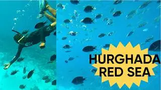 Египет | Хургада | Снорклинг в КРАСНОМ МОРЕ | Red Sea la Kulichaachuu | Тамил