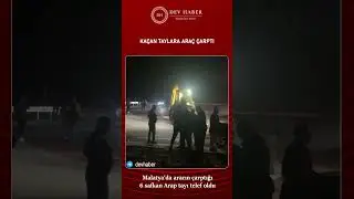 Malatya'da aracın &ccedil;arptığı 6 safkan Arap tayı telef oldu