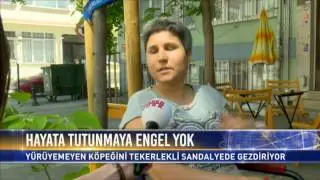 Bonnie: 3-bacaklı bir mutluluk hikayesi - Engelli Hayvanlar