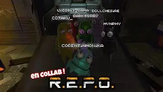 Soir&eacute;e chaotiquement fun ft. Dollcheshire, Corentinmonika, Cotaku, Darkfurry et Lyc0ris ! (R.E.P.O.)