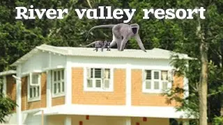 Travel to masinagudi # bandipur # hasanur # travel vlog #