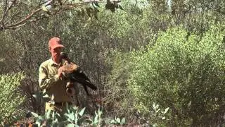 Alice Springs Desert Park - Coxy's Big Break