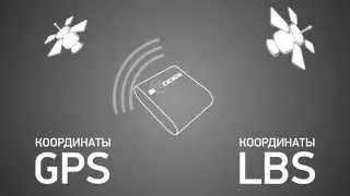 Автономный GPS маячок /трекер, BI 310 Cicada (Цикада). GPS мониторинг и охрана