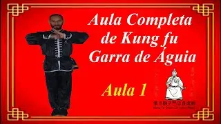 Kung fu Garra de Águia: Aula 1 sete posições básica
