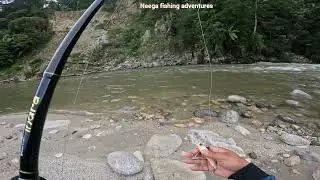 Some Fish always win, 🎣💪 Pare River....227