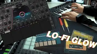 Знакомство с Waves Ovox и Native Instruments Lo-Fi Glow