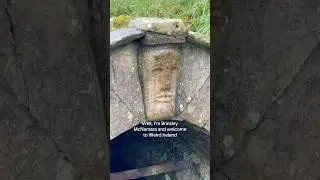 Holy well with a head