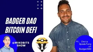 BadgerDAO with founder Chris Spadafora