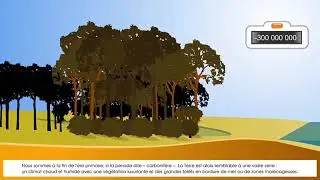 Formation du Charbon