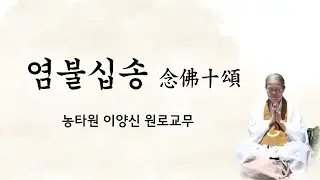 염불십송 독경 #원불교 #농타원이양신 교무