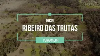 🏡🗝️ 2,4 hectares with ruin for renovation - Ribeiro das Trutas H639 - € 37,500