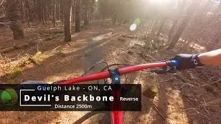 Devil's Backbone [Reverse] - Guelph Lake - ON, CA