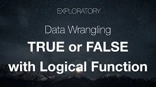 Data Wrangling: Returning TRUE or FALSE with Logical Function