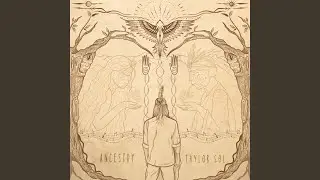 Reflections