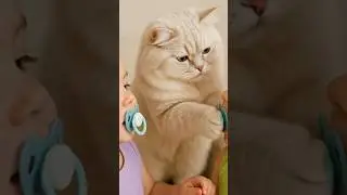 #cute #bebekoyunlari #babylove #disney #funny #cartoon #cutebaby #aiart #fairy#cat #cats #animal