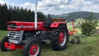 Massey Ferguson 135 am Schwader